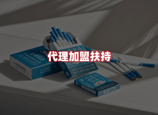 专业团队